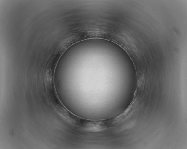 X0000113010179200909031321