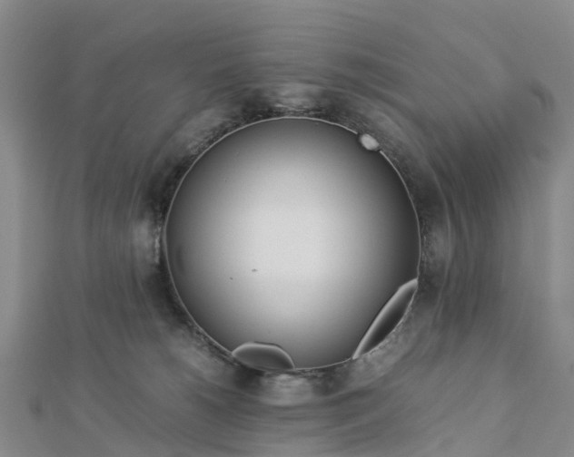 X0000113010180200909031321