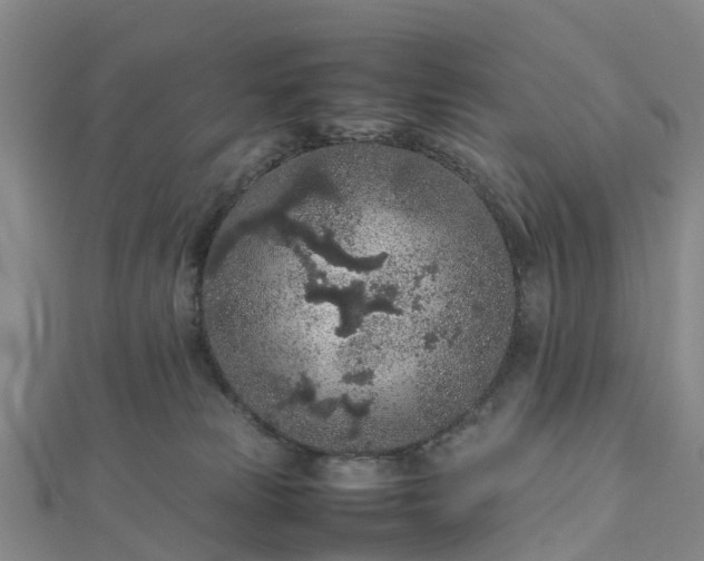 X0000113010181200909031321