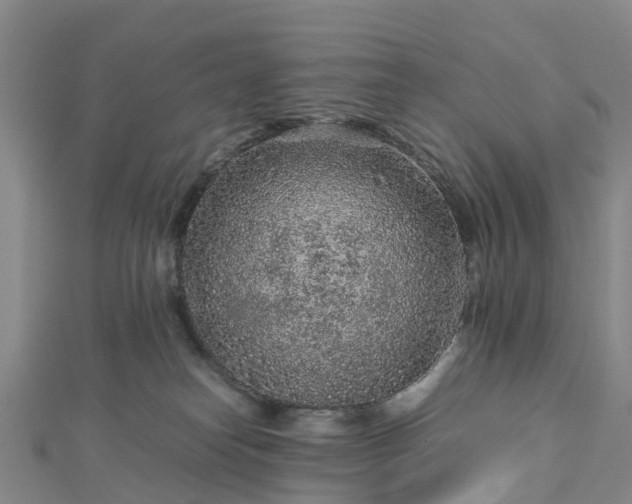 X0000113010182200909031321