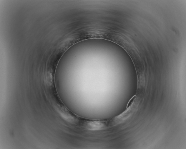 X0000113010183200909031321