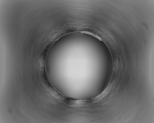 X0000113010184200909031321