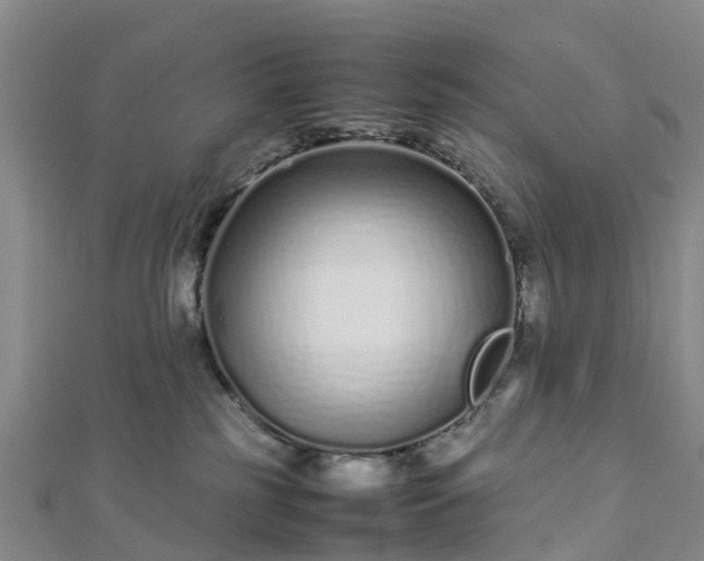 X0000113010185200909031321