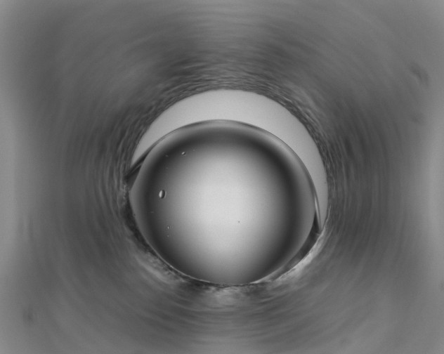 X0000113010186200909031321