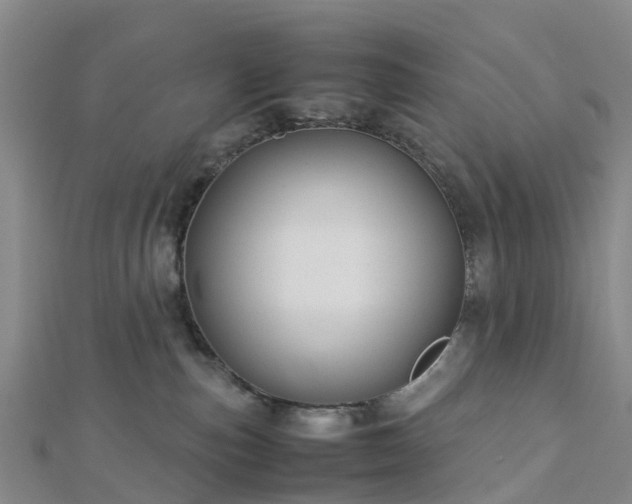 X0000113010187200909031321