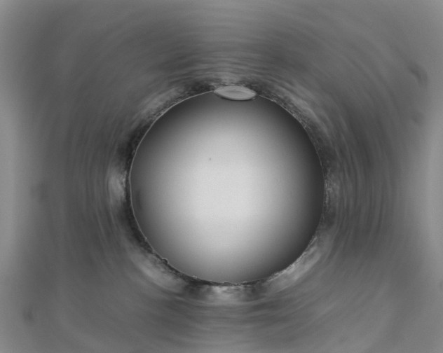 X0000113010188200909031321