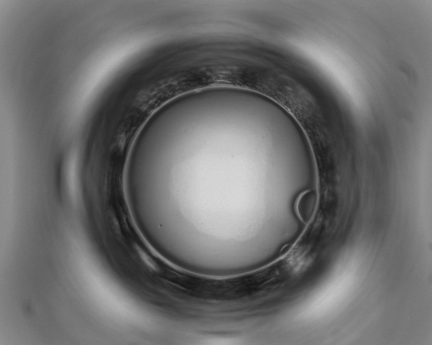 X0000113010189200909031321