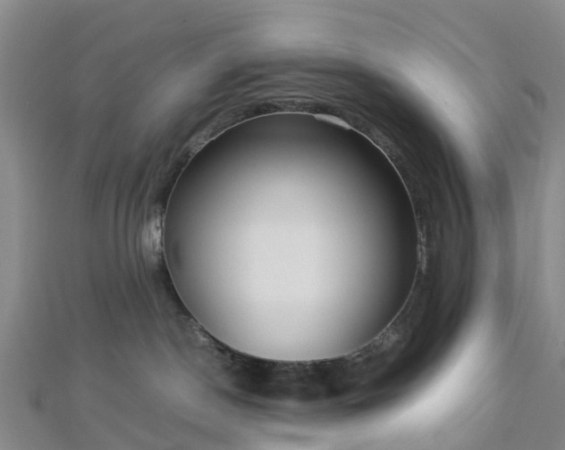 X0000113010190200909031321