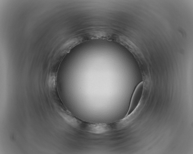 X0000113010191200909031321