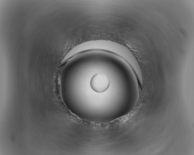 X0000113010192200909031321