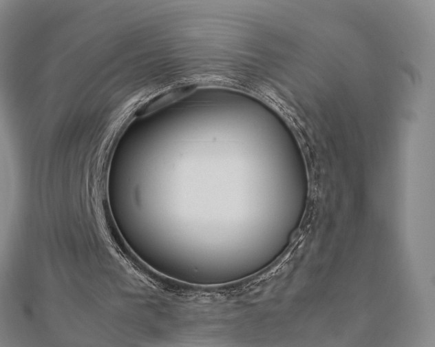 X0000113010193200909031321