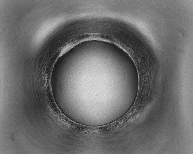 X0000113010194200909031321