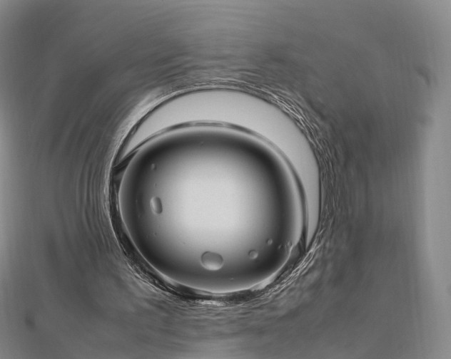 X0000113010195200909031321