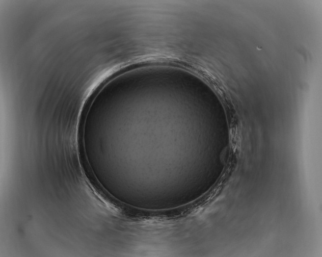 X0000113010196200909031321