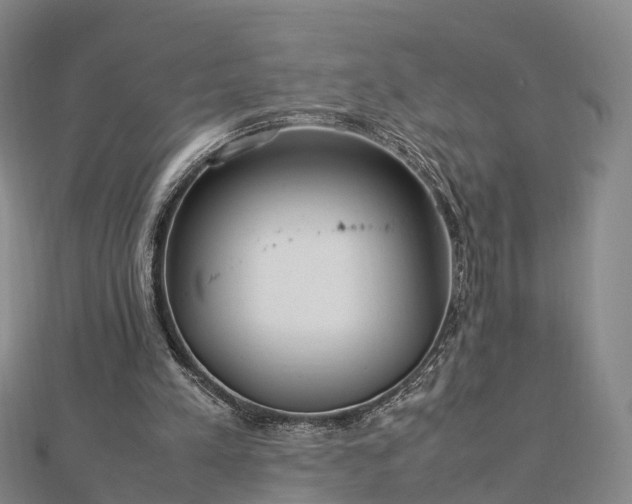 X0000113010197200909031321