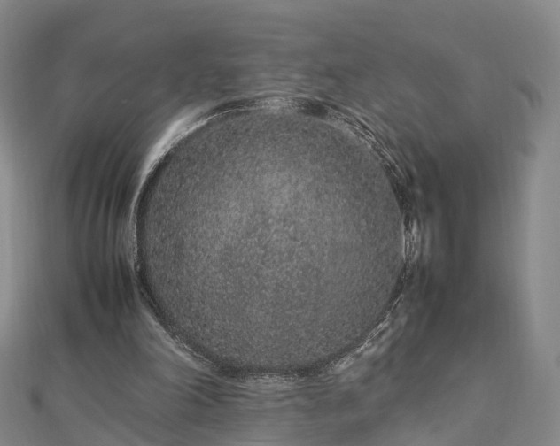 X0000113010198200909031321