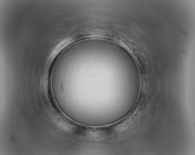 X0000113010199200909031320