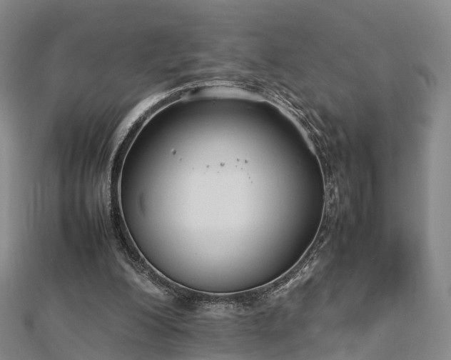 X0000113010200200909031320