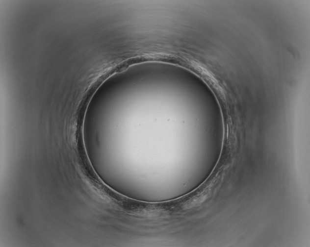 X0000113010201200909031320