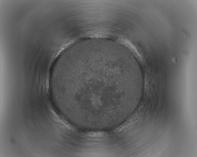 X0000113010202200909031320