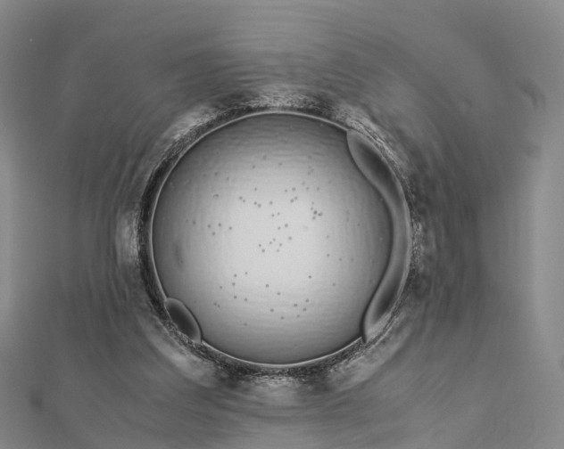 X0000113010203200909031320