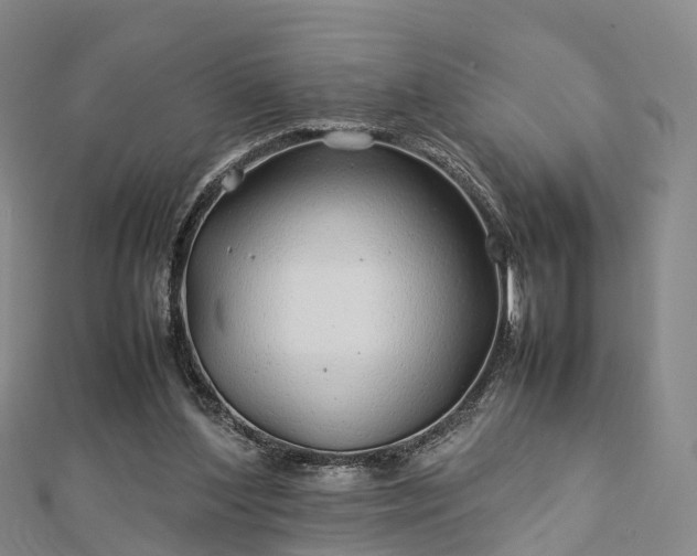 X0000113010204200909031320