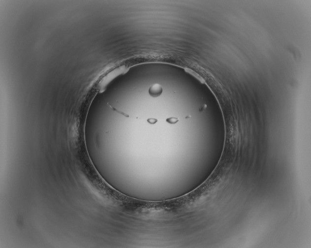 X0000113010208200909031320