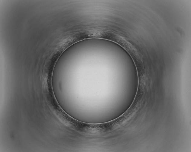 X0000113010209200909031320