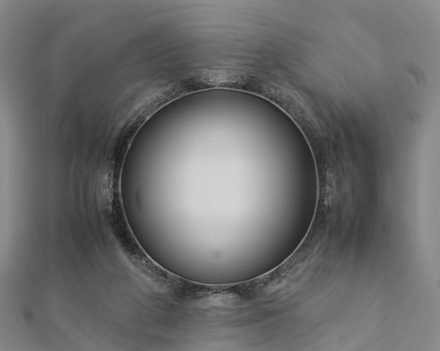 X0000113010210200909031320