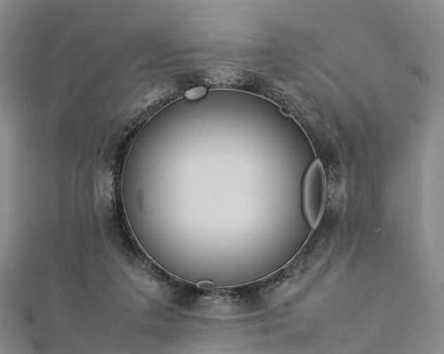 X0000113010211200909031320