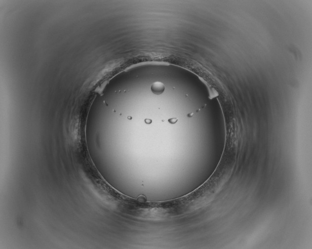 X0000113010212200909031320