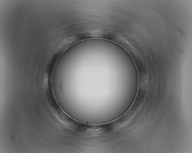 X0000113010213200909031320