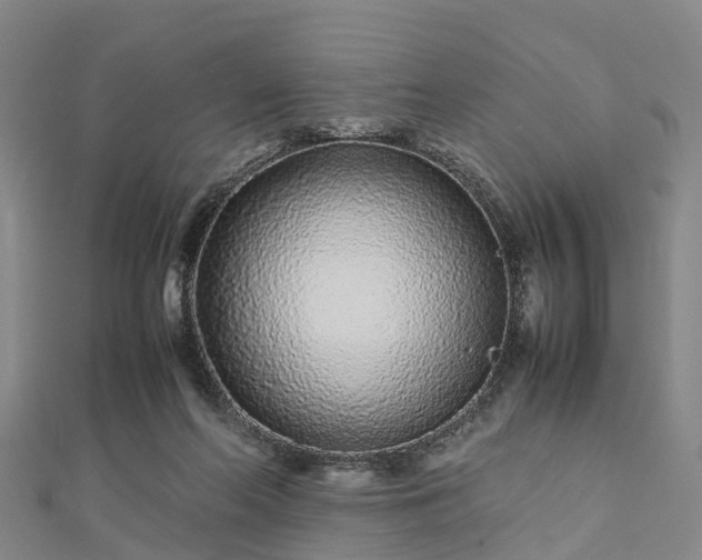 X0000113010214200909031320