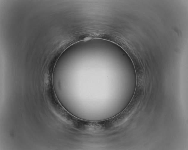 X0000113010215200909031320