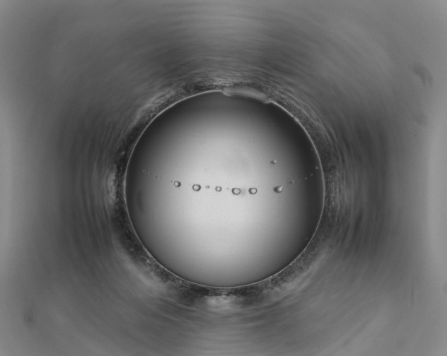 X0000113010216200909031320