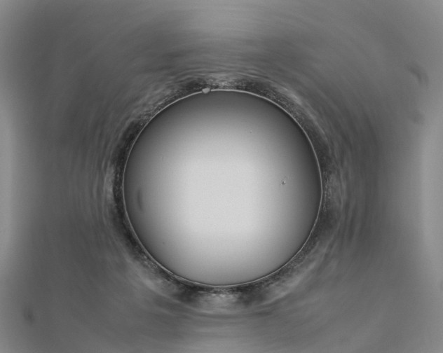 X0000113010217200909031320