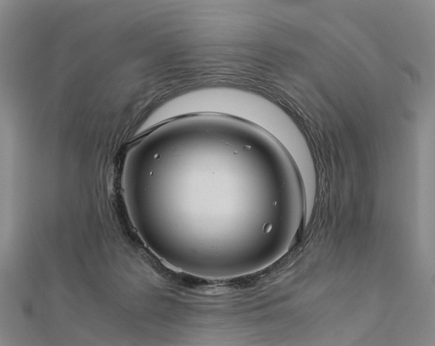 X0000113010219200909031320