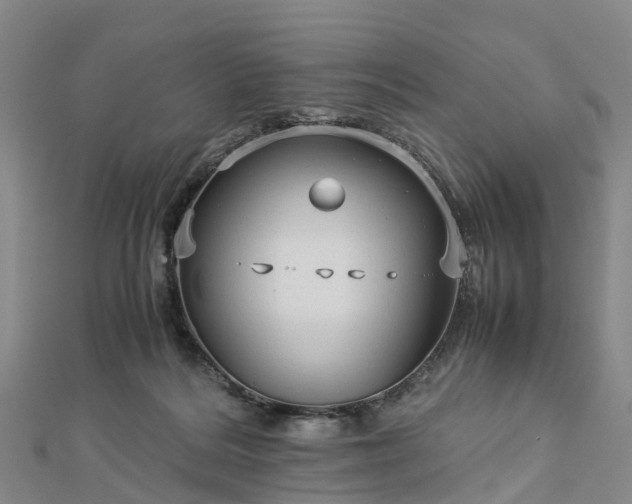 X0000113010220200909031320