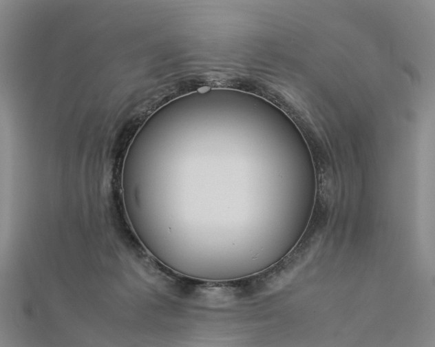 X0000113010221200909031320