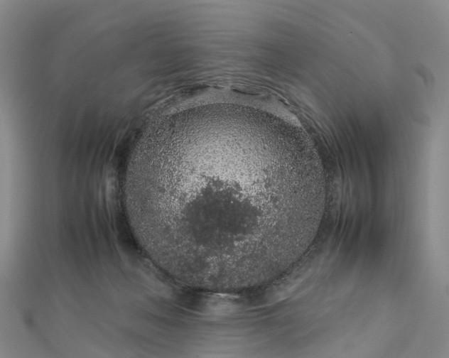 X0000113010222200909031320