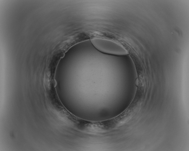 X0000113010223200909031320