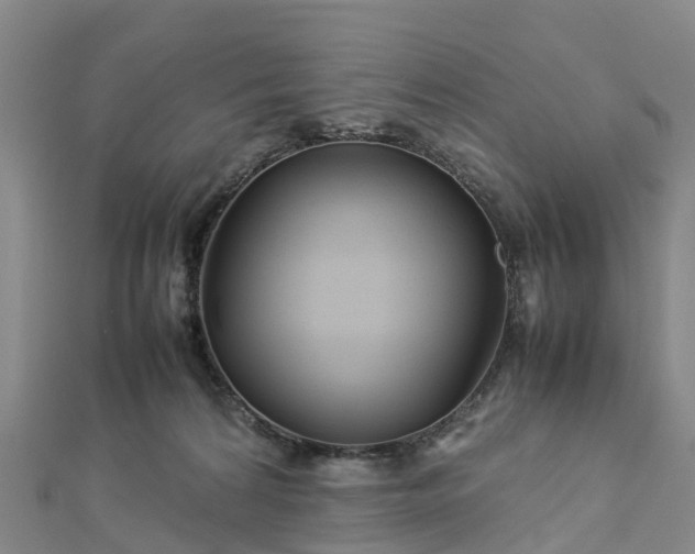 X0000113010224200909031320