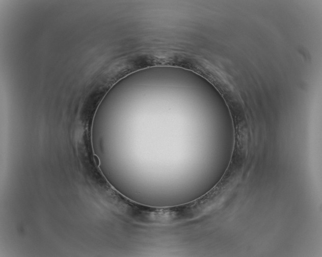 X0000113010225200909031320