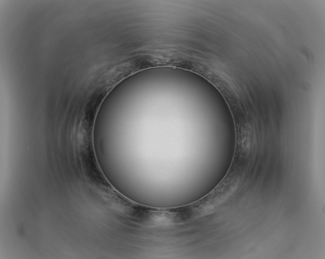 X0000113010226200909031320