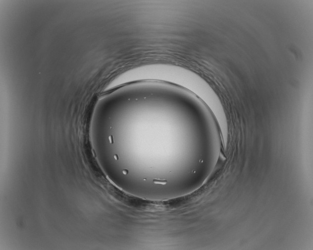 X0000113010227200909031320