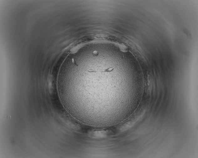 X0000113010228200909031320