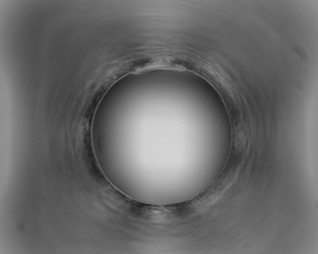 X0000113010229200909031320