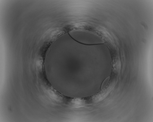 X0000113010231200909031320