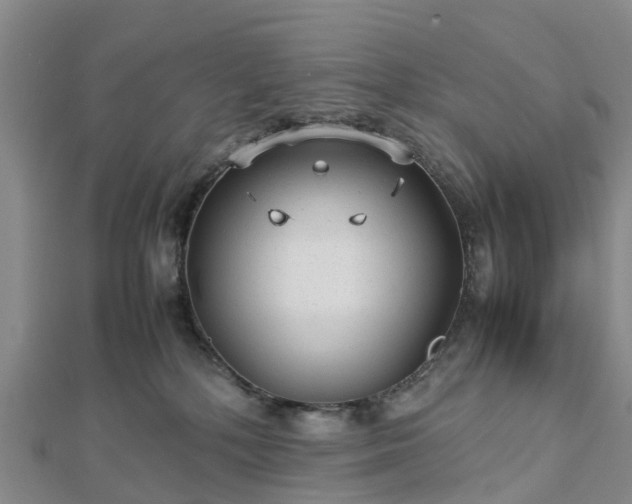 X0000113010232200909031320