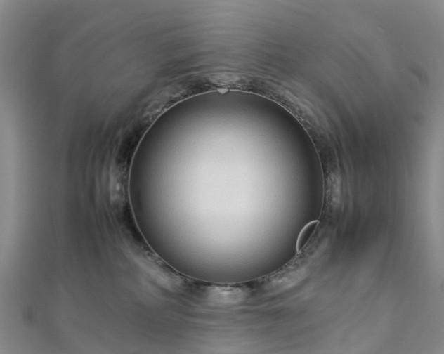 X0000113010234200909031320